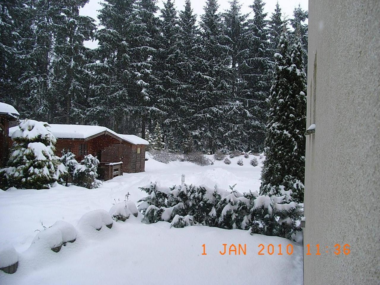 Blechleppel - Die Pension Im Harz Беннекенштайн Екстер'єр фото